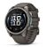 Умные часы Garmin Fenix 9, 47 мм, AMOLED, Sapphire Titanium with Pebble Gray Silicone Band