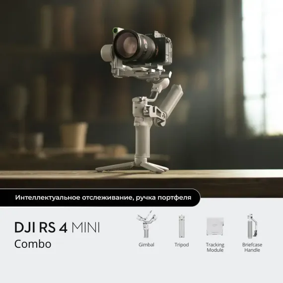 Стабилизатор DJI Ronin RS 4 Mini Combo