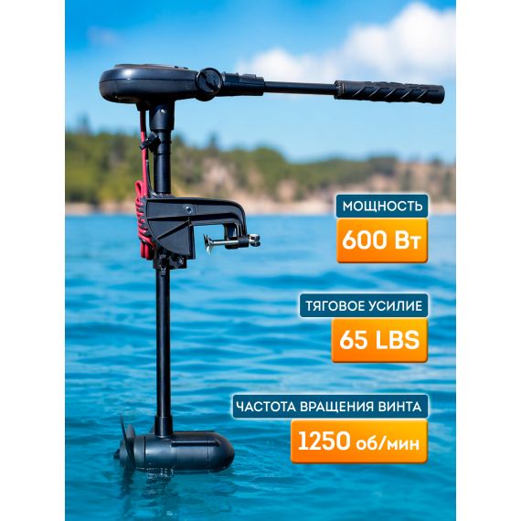Электромотор Haswing Protruar 1.0, 65Lbs - 660 мм, изображение 4