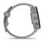 Умные часы Garmin FORERUNNER 255S со светло-серым ремешком