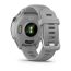 Умные часы Garmin FORERUNNER 255S со светло-серым ремешком